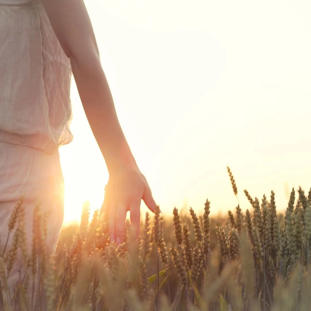 WF Coaches Blank Social Post 03 WF Coaches Blank Social Post 03